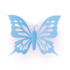 colorful butterfly vector illustration