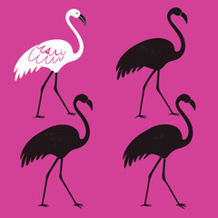Obraz premium Flamingo silhouettes set, large pack of vector silhouette design