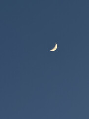moon in the sky