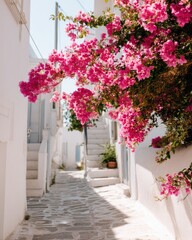 Charming alley adorned with vibrant pink flowers and sunlit ston