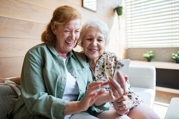 Happy senior lesbian couple taking selfie in modern home