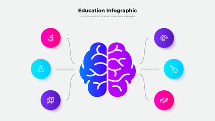Two hemispheres of the brain that are responsible for science and creativity. Education infographic with 6 steps