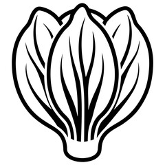 Bok Choy icon vector