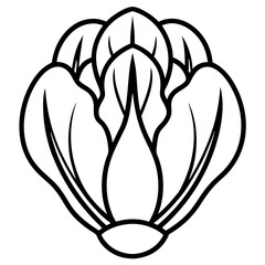Bok Choy icon vector