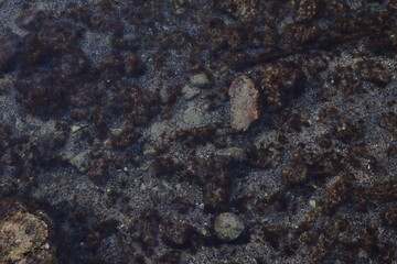 texture, rock, stone, nature, abstract, macro, granite, pattern, wall, ant, sand, sea, brown, surface, beach, closeup, material, water, black, rough, natural, textured, old, detail, animal