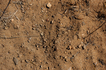 sand and pebbles full frame 