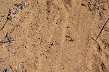 sand and pebbles full frame 