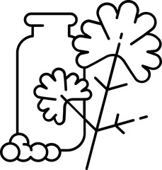 coriander illustration on a white background   