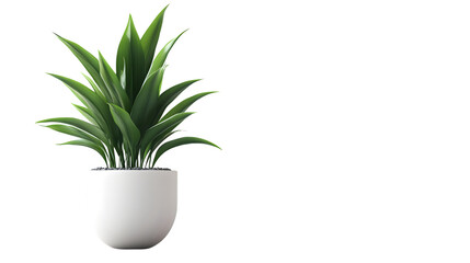Fototapeta premium Stylish Modern Indoor Plant on White Background for Home Decor Inspiration