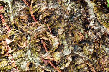 modern background of cork stem and bark