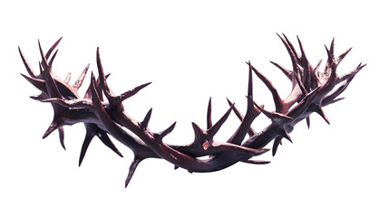 Obraz premium Crown of Thorns Isolated on Transparent Background for Religious and Easter Concepts
