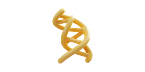 Yellow Dna Helix Model. Genetic Research And Biotechnology Concept Isolated On Transparent Background