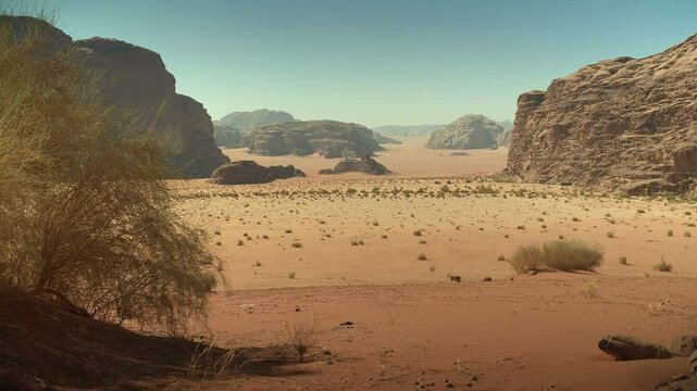 Jordan, Wadi Rum. Nature background of sandy and rocky desert with plants and bushes growing arid desertic area.