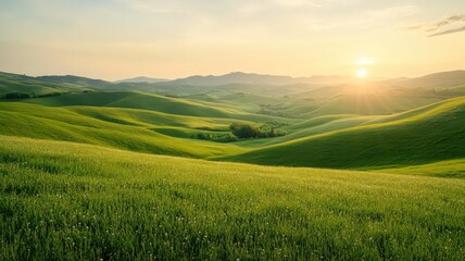 Rolling Hills at Sunrise