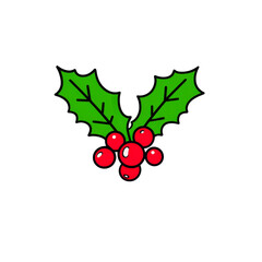 Fresh holly leaves with vibrant red berries create festive and cheerful decoration for holiday season