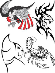 black and white eagle