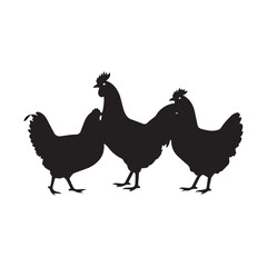 Black chicken collection (profile, portrait, standing), animal bundle isolated on a white background