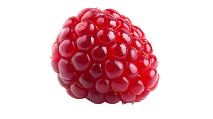 Vibrant Red Berry Isolated on Transparent Background - Fresh and Healthy Fruit Photography