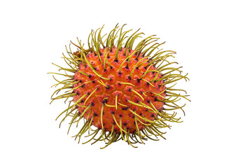 Rambutan Fruit HighResolution Image of Fresh Rambutan for Food Blogs Recipes and Culinary Websites on Transparent background