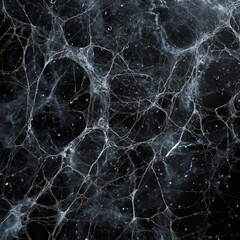 An elaborate spider web displays an intricate structure, with tiny water droplets visible.