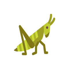 Illustration of a green grasshopper with striped body and long legs on a white background vector image