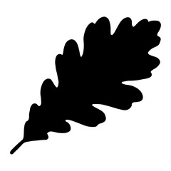 Silhouette Leaf Illustration Set