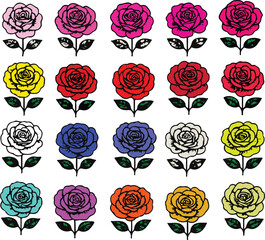 Fully Bloom Roses