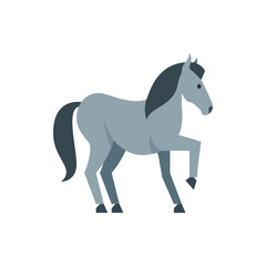 A gray horse with a dark mane and tail standing on a white background with one leg raised up high now