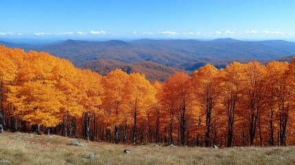 Fototapeta premium Autumnal mountain vista; vibrant foliage, panoramic view, travel poster
