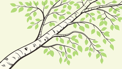 Fototapeta premium vector illustration of birch tree with leaves on white background. nature and ecology concept
