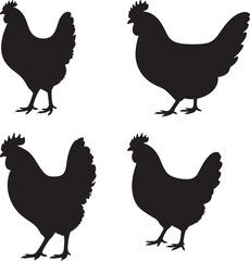 Colorful Hen Illustration Farm Animal Vector Graphic Design