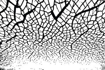 Obraz premium Abstract Black smooth wave on a white background. Dynamic sound wave. Design element. Vector illustration.