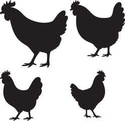 A Colorful Hen Illustration Farm Animal Vector Graphic Design