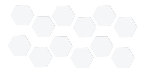 modern backdrop featuring a geometric pattern of gray outlined hexagons on a white background, creating a minimalist and abstract design with a subtle texture.