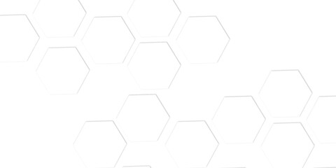 modern backdrop featuring a geometric pattern of gray outlined hexagons on a white background, creating a minimalist and abstract design with a subtle texture.