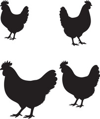 Colorful Hen Illustration Farm Animal Vector Graphic Design