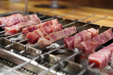 Grilled Meat Skewers on a Charcoal Grill