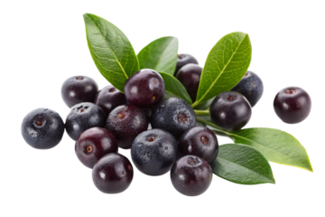 fresh dark purple acai or Jabuticaba berries, png transparent background