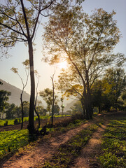 Golden Farmlands in Sunset