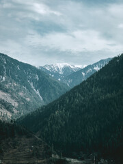 Obraz premium Snowy Peaks Behind Forested Hills