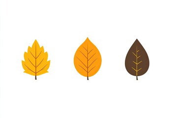 Autumn Leaves Illustration