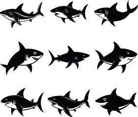 shark vector art and Illustration