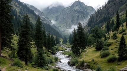 Obraz premium Lush Green Alpine Valley Surrounded by Foggy Mountains and Flowing River in Nature Scene