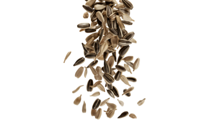 Falling Sunflower Seeds: Capturing the captivating descent of numerous sunflower seeds against an isolated background. A detailed view reveals their natural, stripped essence.