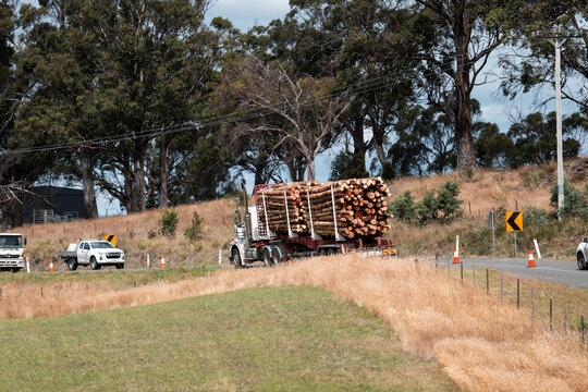 logging truck carting timber in australia on the highway road