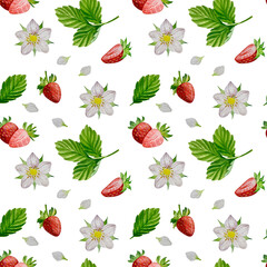 Strawberries watercolor clipart. Strawberry isolated, red berry and leaves on white background. Hand painted realistic illustration for tea, jam or natural cosmetics label
