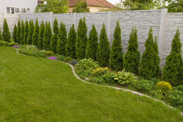 Decorative Concrete Fence Panels with a green thujas in the spring