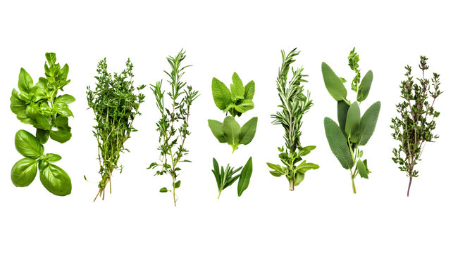 Professional Food Photography Background Banner Collection Set