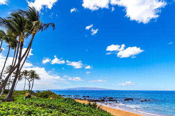 The island of Maui