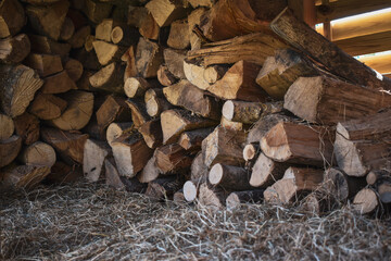 Réserve à bois et à foin - Ambiance rustique, ancienne et rurale